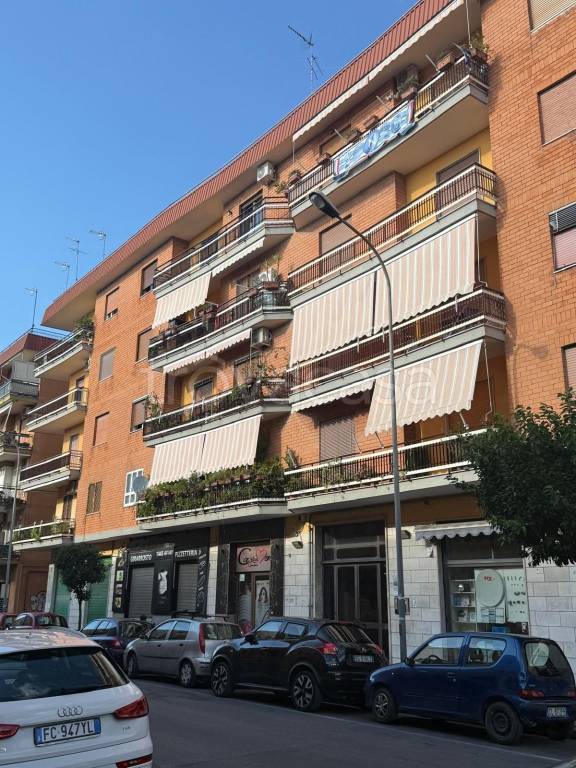 immagine annuncio 2 di 12
