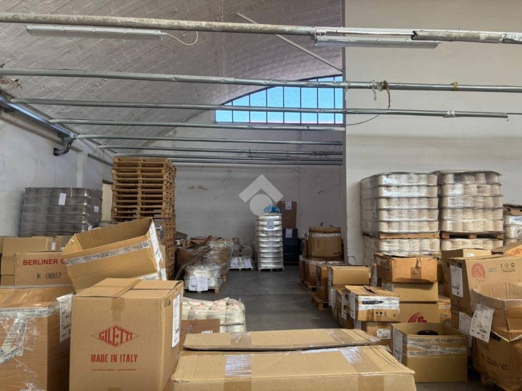 immagine annuncio 7 di 14