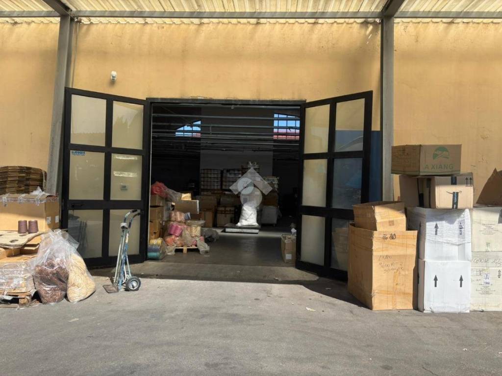 immagine annuncio 12 di 14