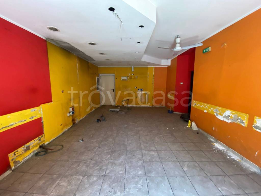 immagine annuncio 11 di 14