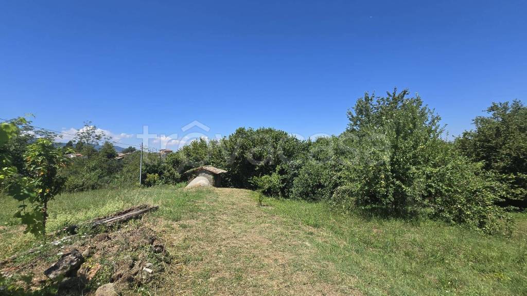 immagine annuncio 6 di 8