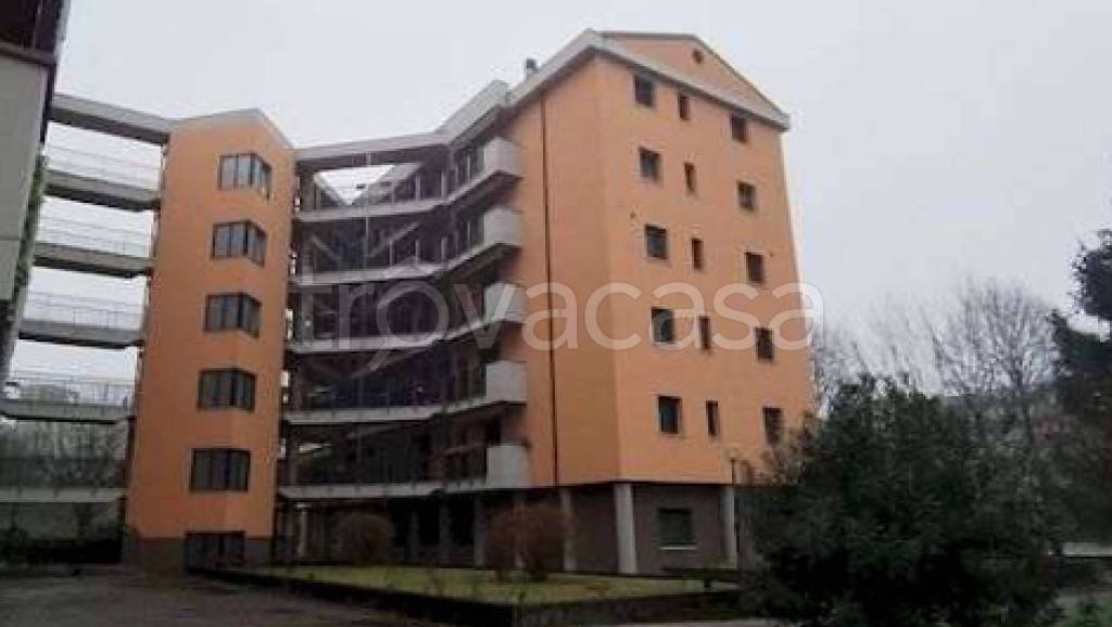 immagine annuncio 9 di 11