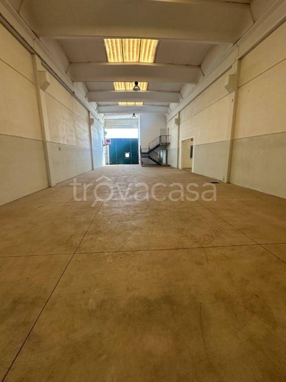 immagine annuncio 4 di 7