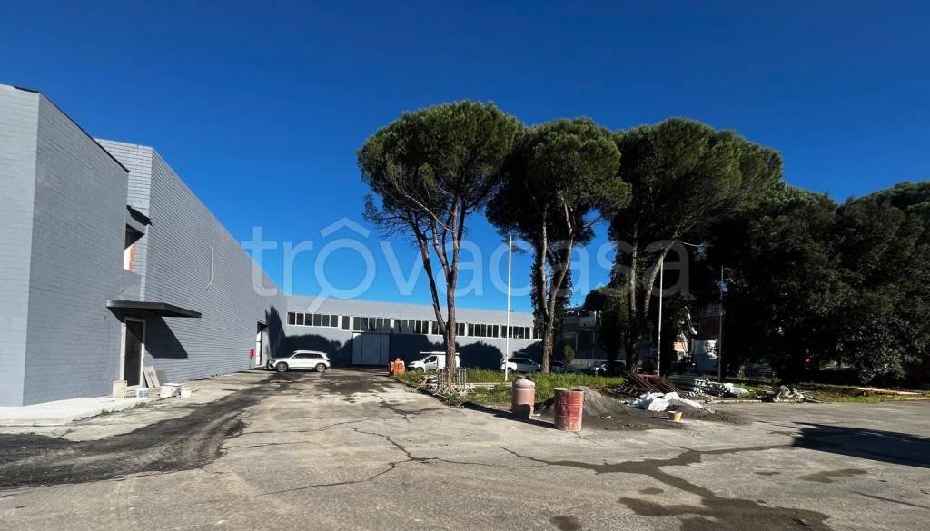 immagine annuncio 11 di 12
