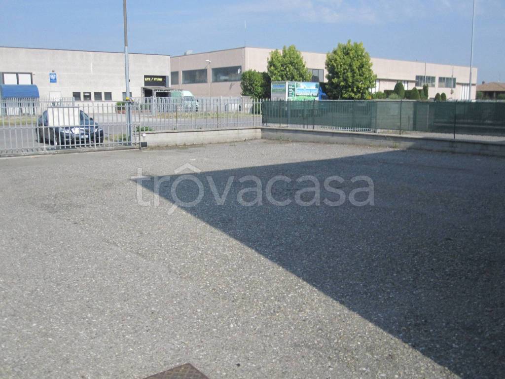 immagine annuncio 1 di 12