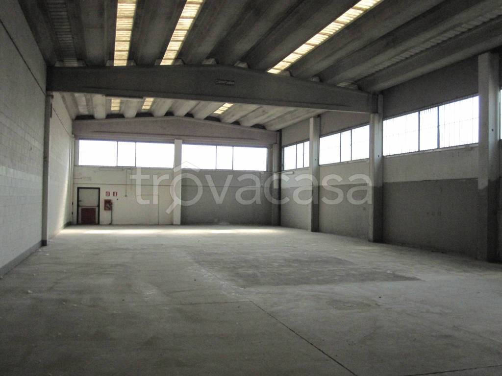 immagine annuncio 5 di 12