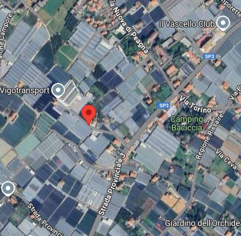 immagine annuncio 6 di 11