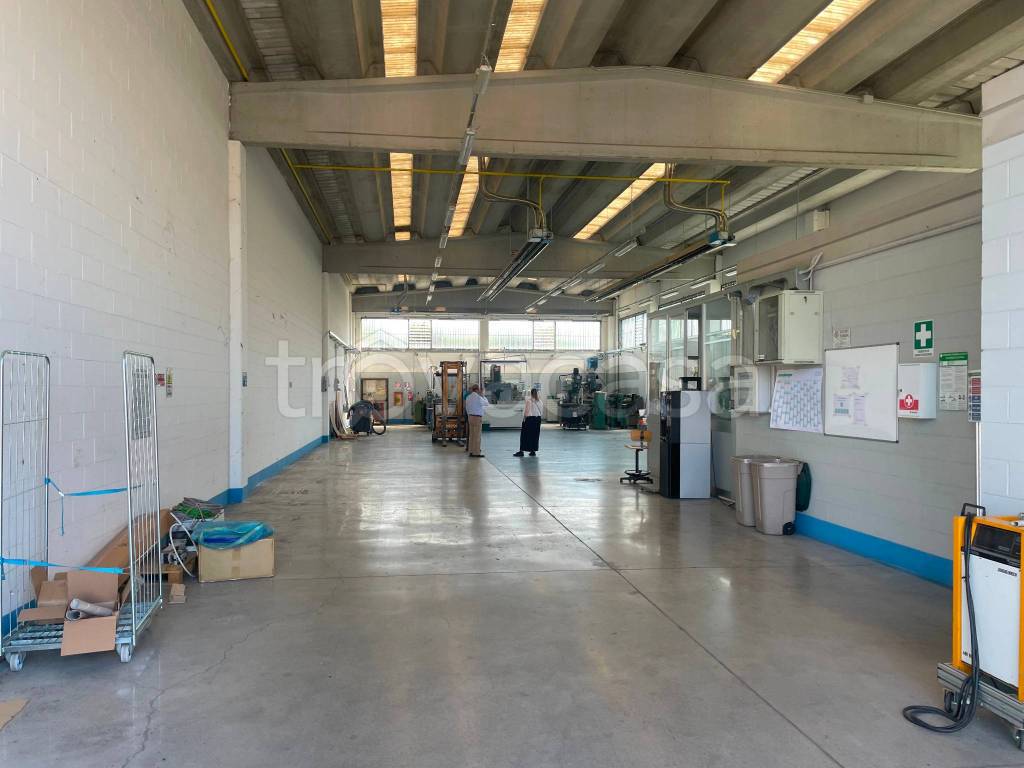 immagine annuncio 8 di 12