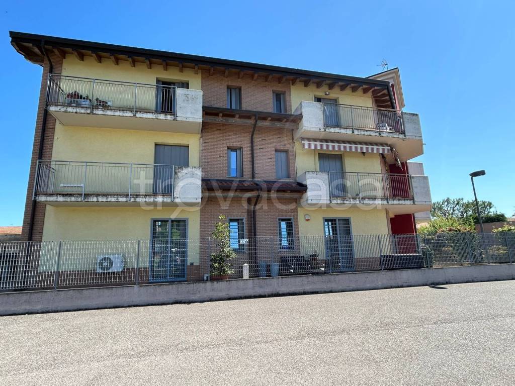 immagine annuncio 1 di 15