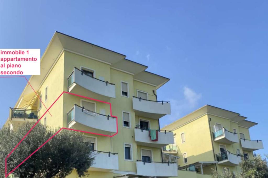 immagine annuncio 1 di 15