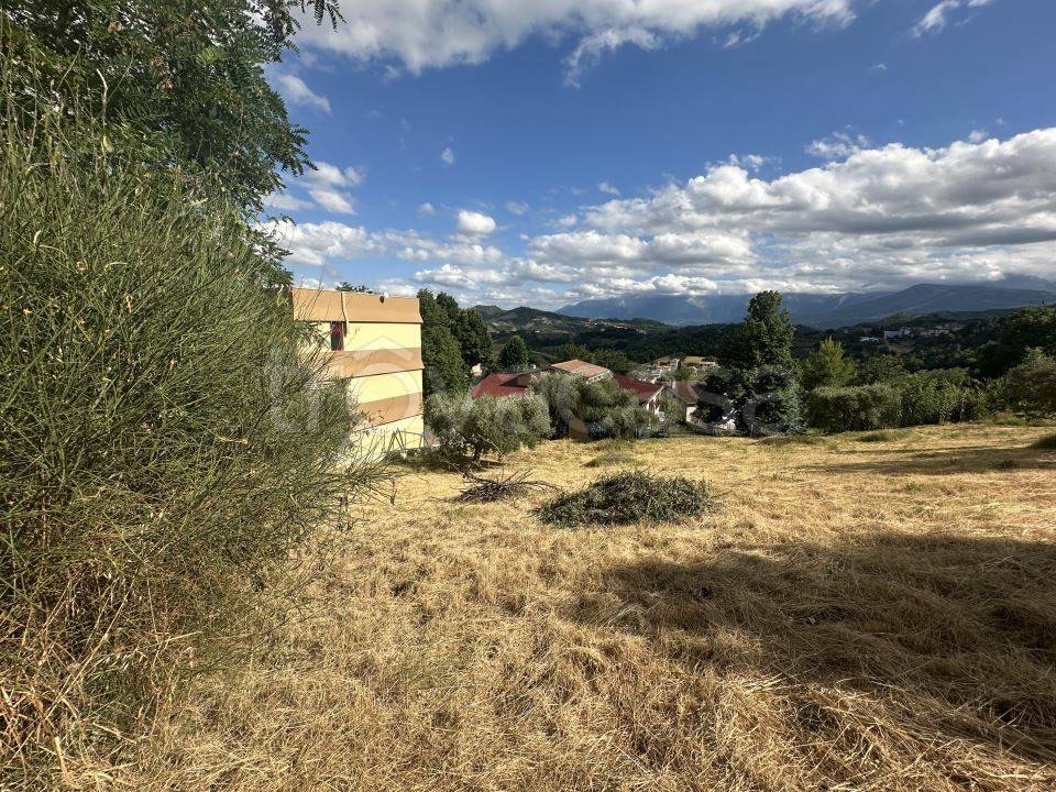 immagine annuncio 7 di 9