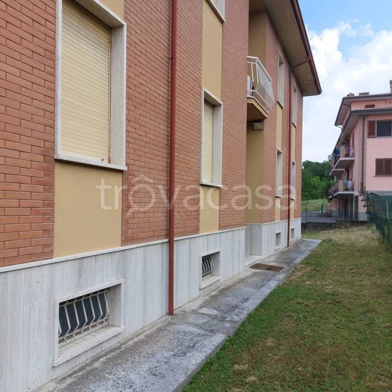immagine annuncio 10 di 12