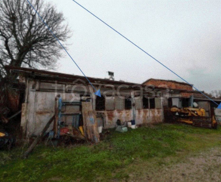 immagine annuncio 7 di 11
