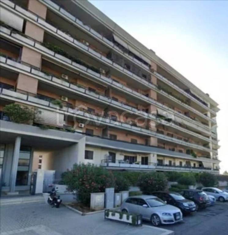 immagine annuncio 5 di 11