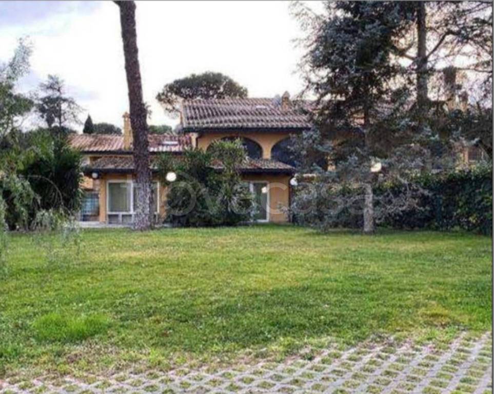 immagine annuncio 12 di 14
