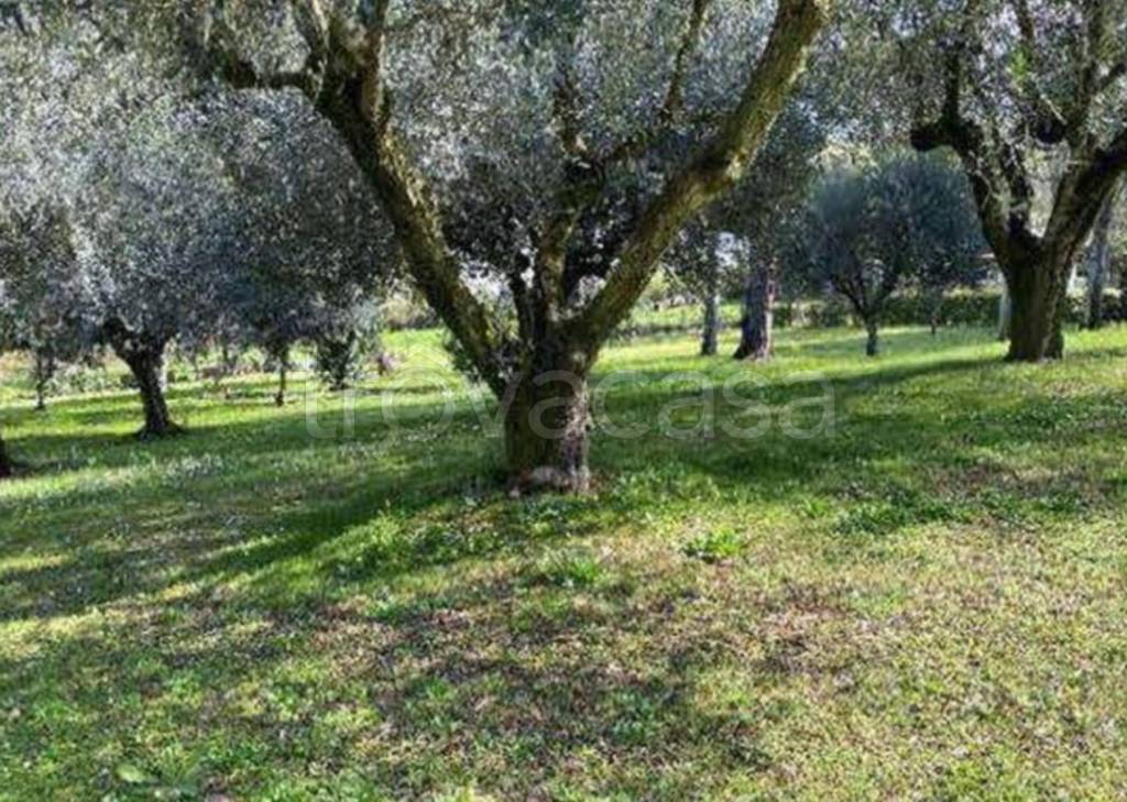immagine annuncio 13 di 14