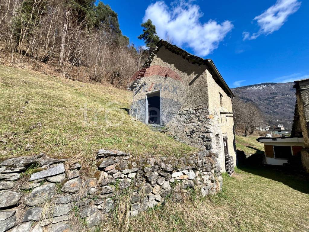 immagine annuncio 3 di 14
