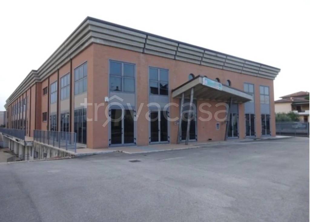 immagine annuncio 9 di 11