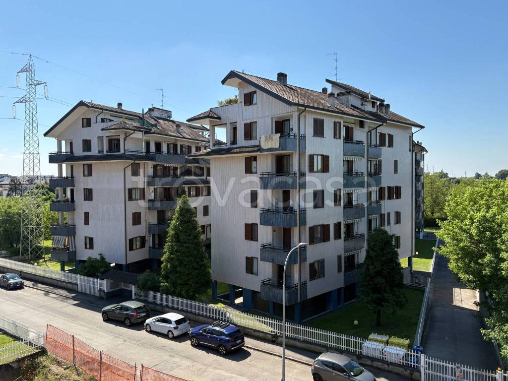 immagine annuncio 3 di 15