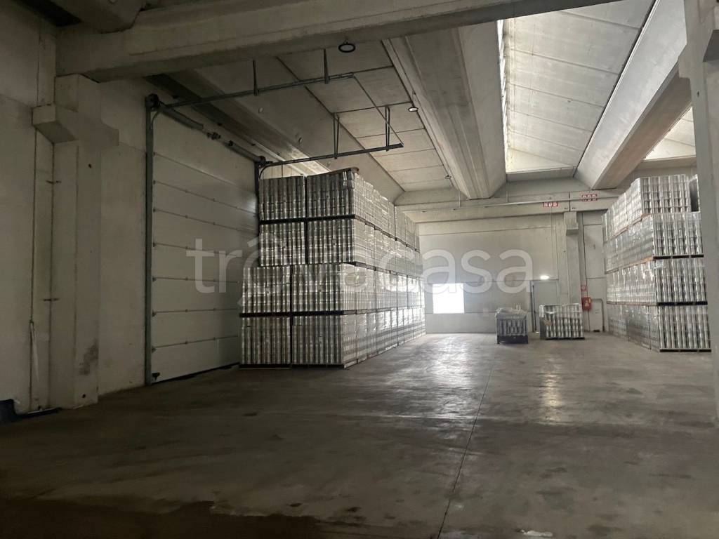 immagine annuncio 3 di 6