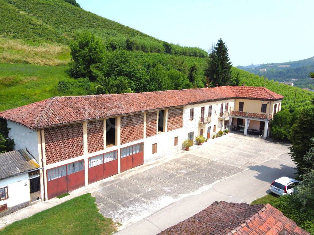 immagine annuncio 11 di 12