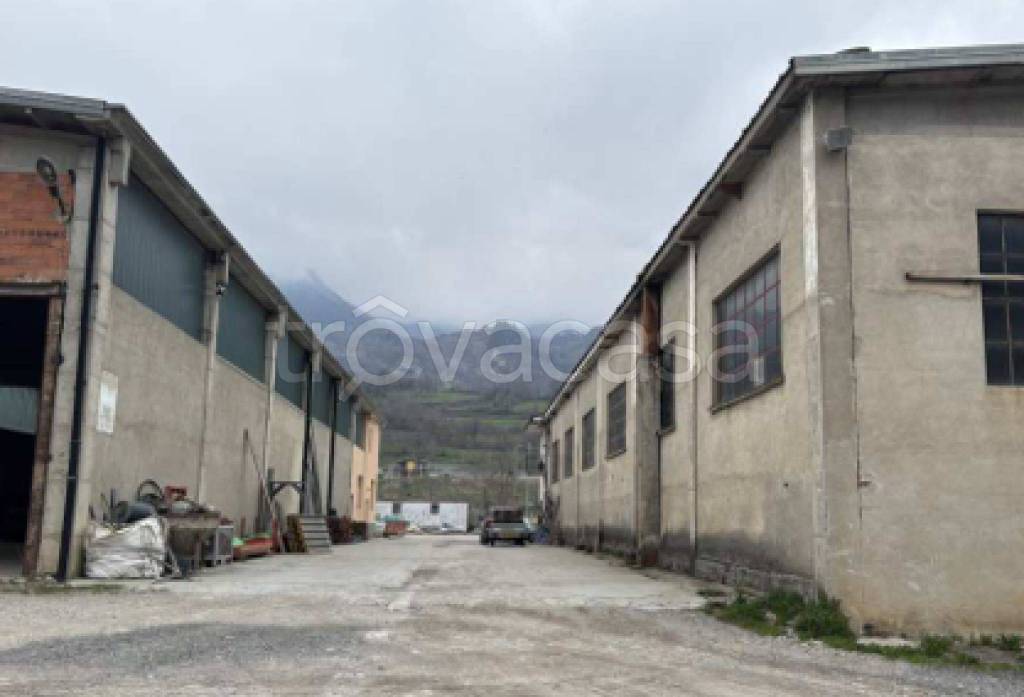 immagine annuncio 8 di 11