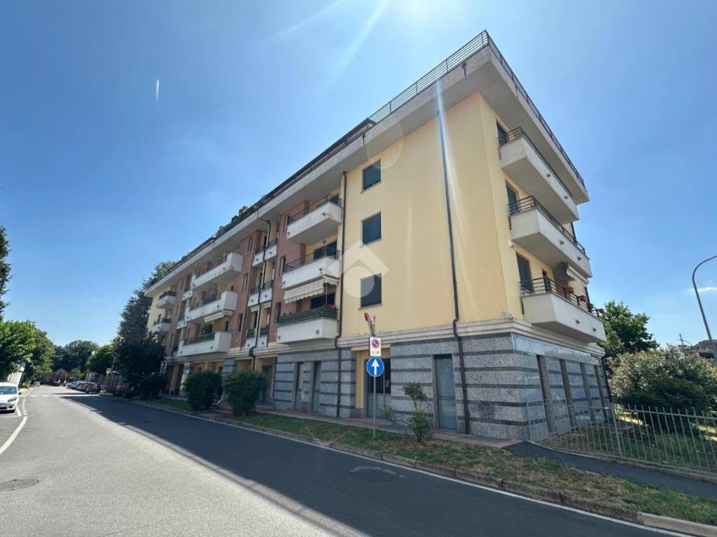 immagine annuncio 1 di 12