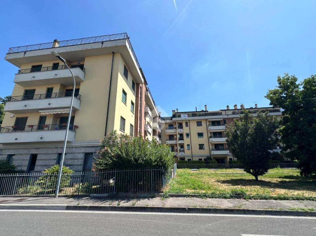 immagine annuncio 4 di 12