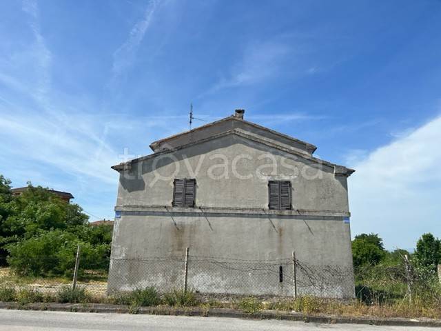 immagine annuncio 5 di 11