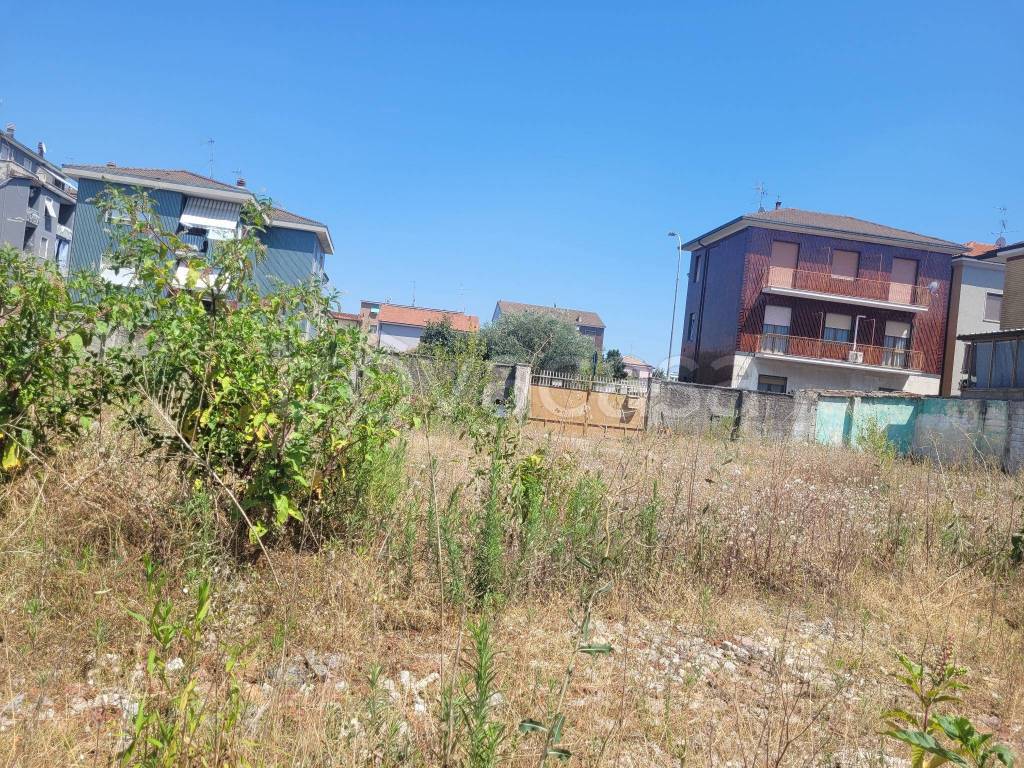 immagine annuncio 3 di 13