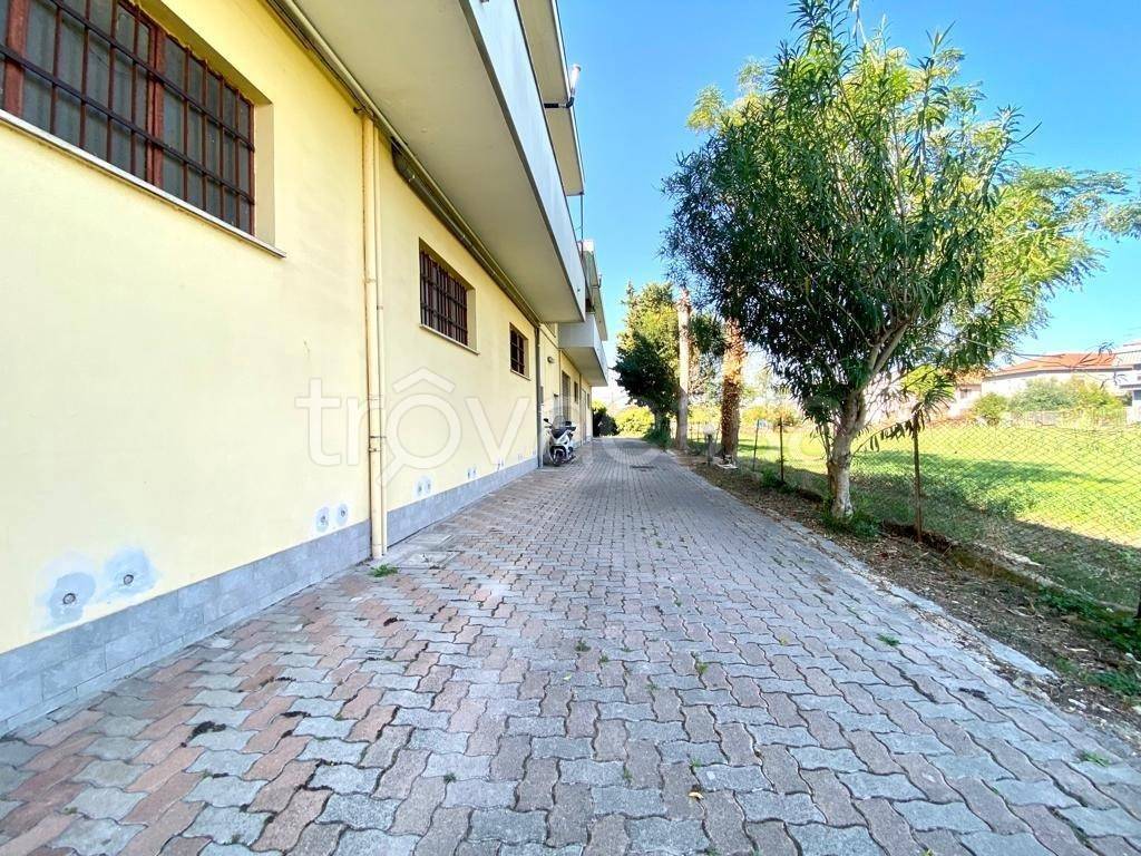 immagine annuncio 2 di 8