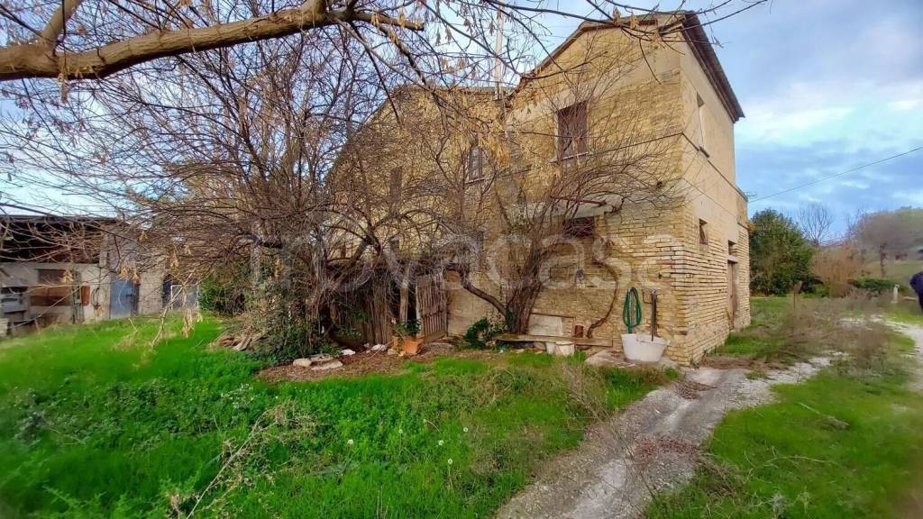 immagine annuncio 6 di 8