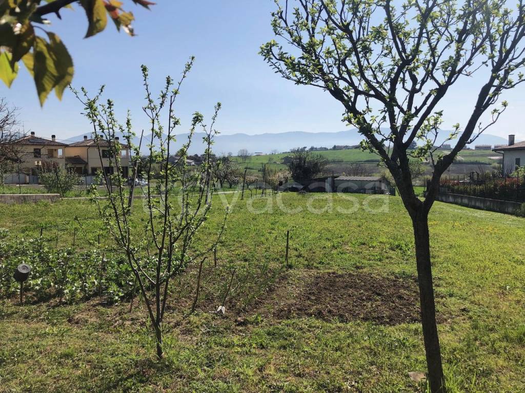 immagine annuncio 3 di 14