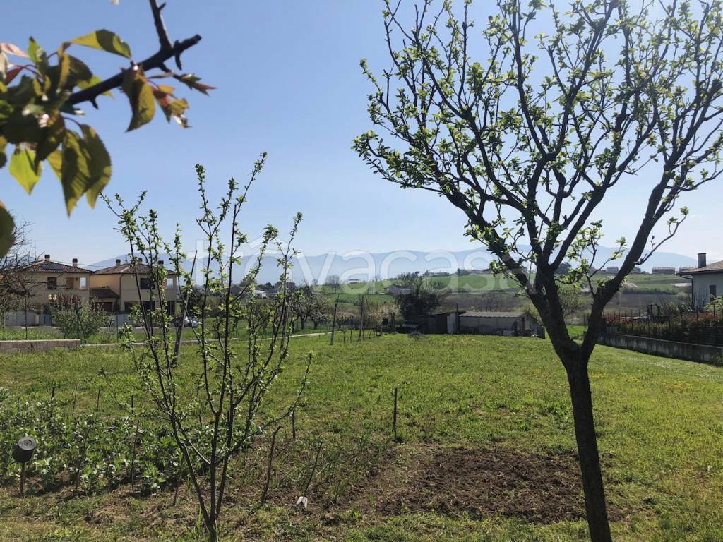 immagine annuncio 4 di 14