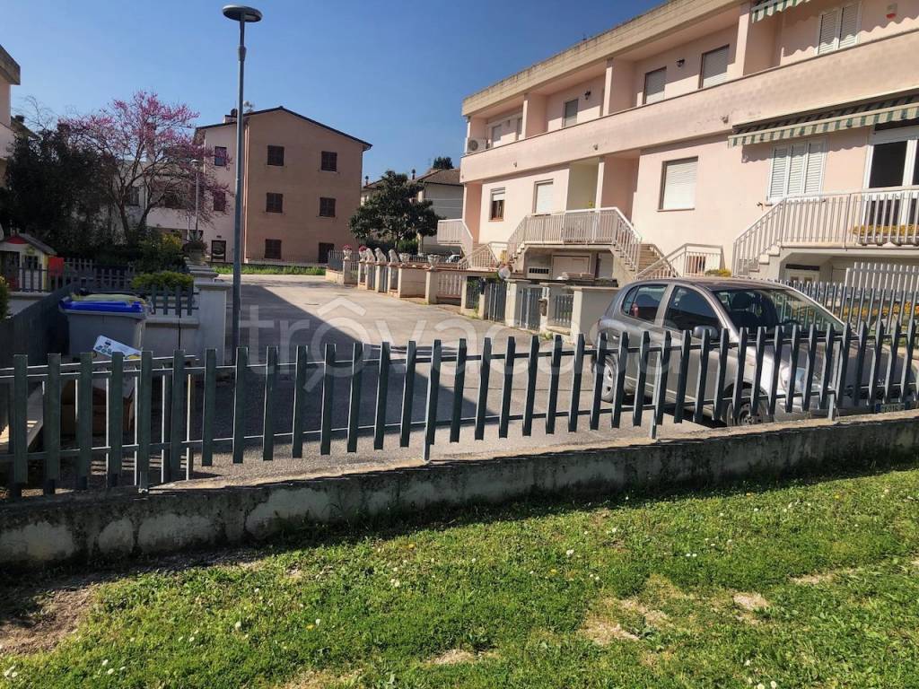 immagine annuncio 5 di 14