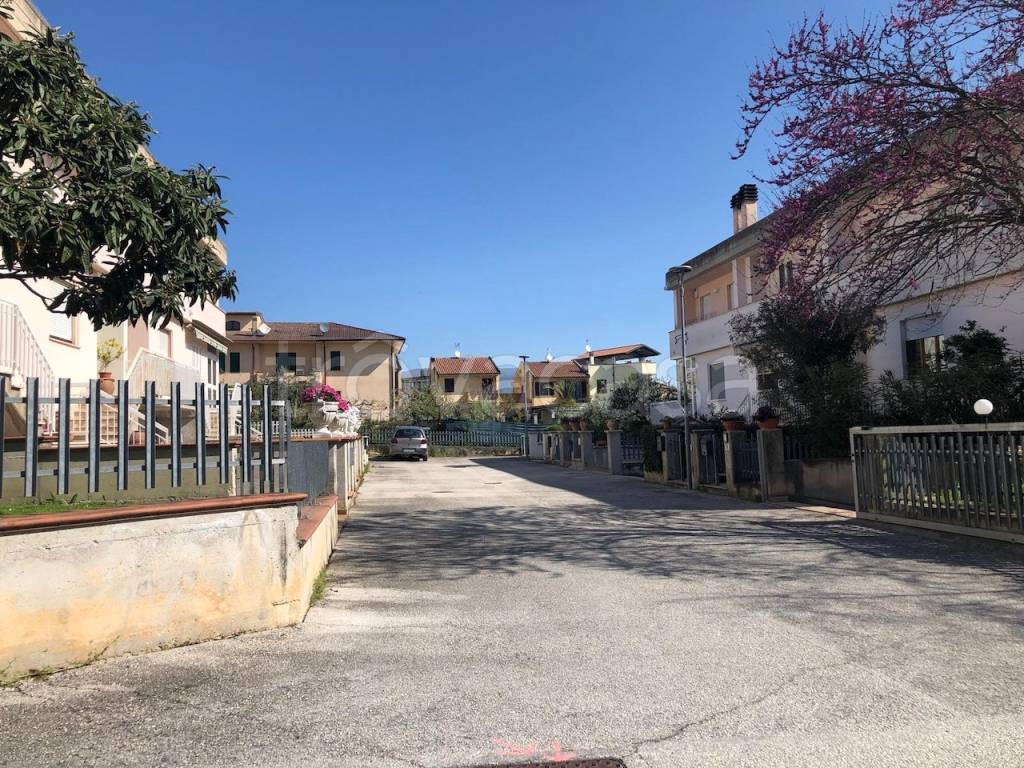 immagine annuncio 10 di 14