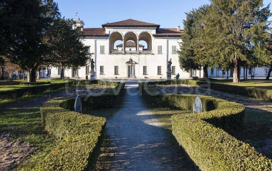 immagine annuncio 5 di 11