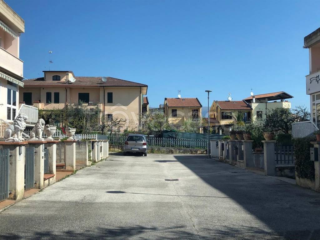 immagine annuncio 11 di 14