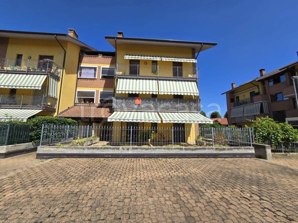 immagine annuncio 3 di 15