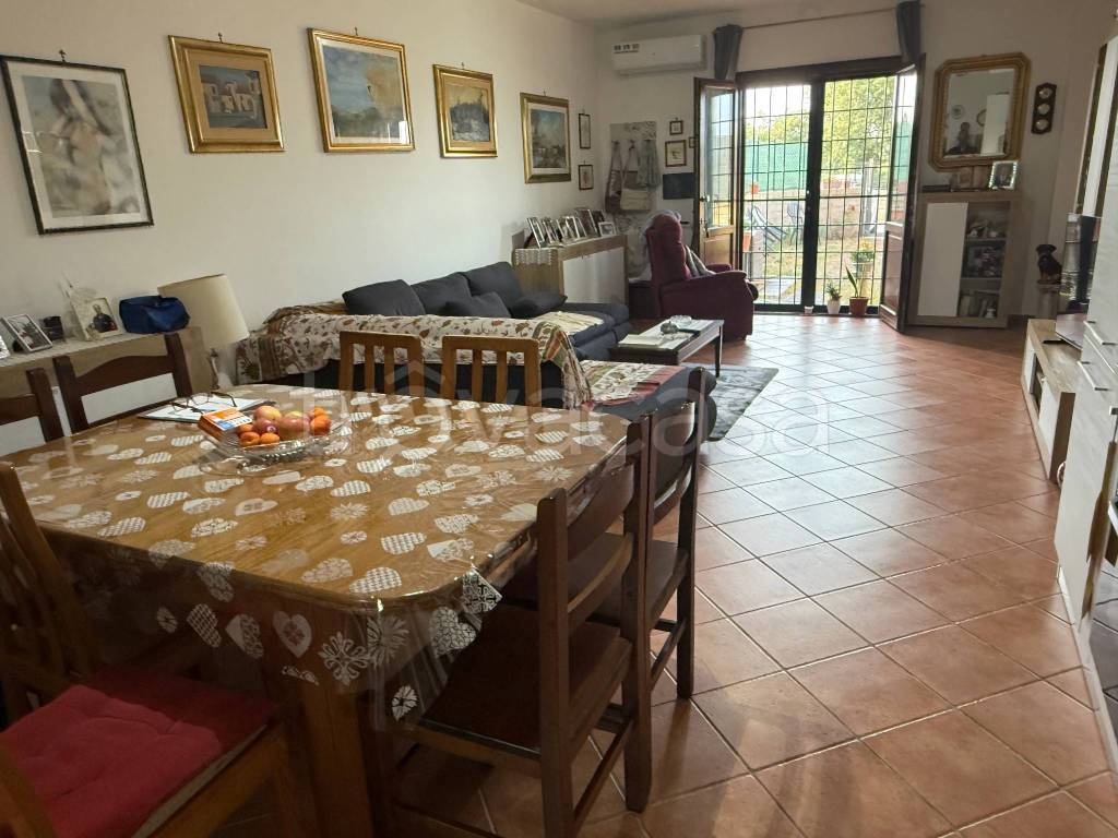 immagine annuncio 1 di 14