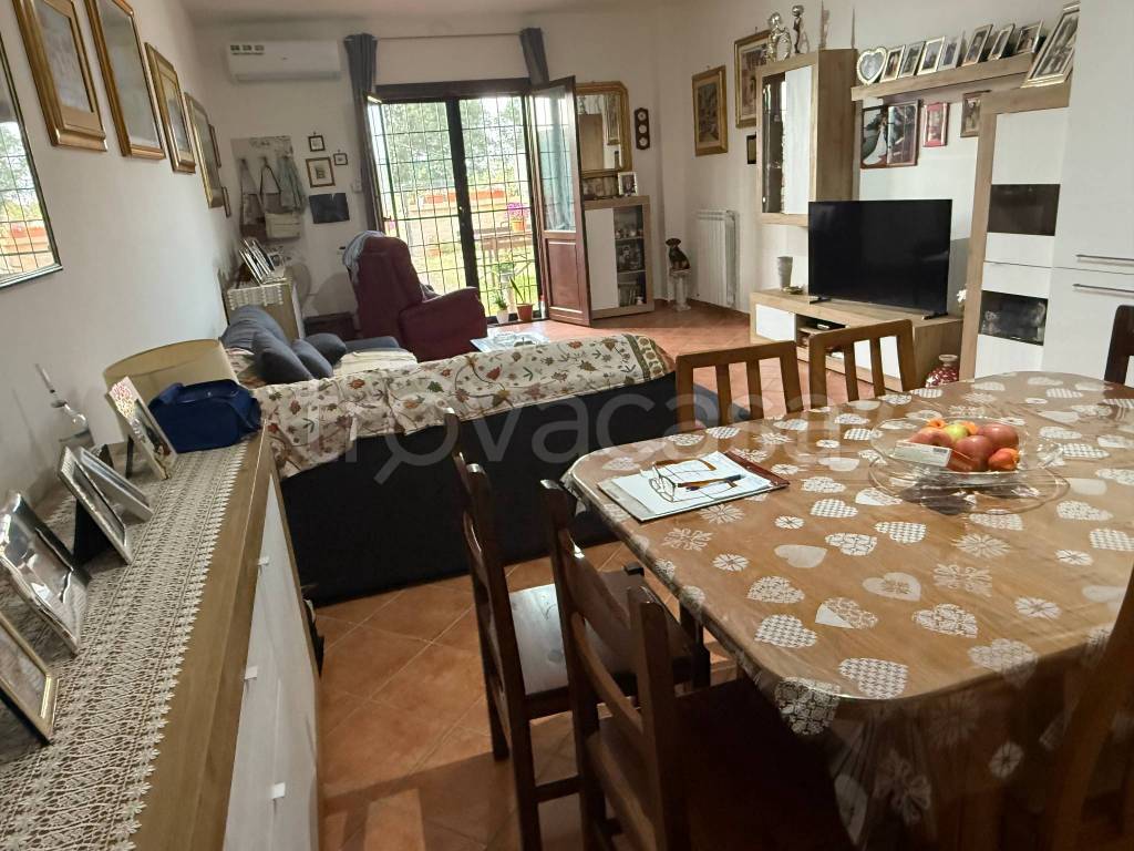 immagine annuncio 2 di 14