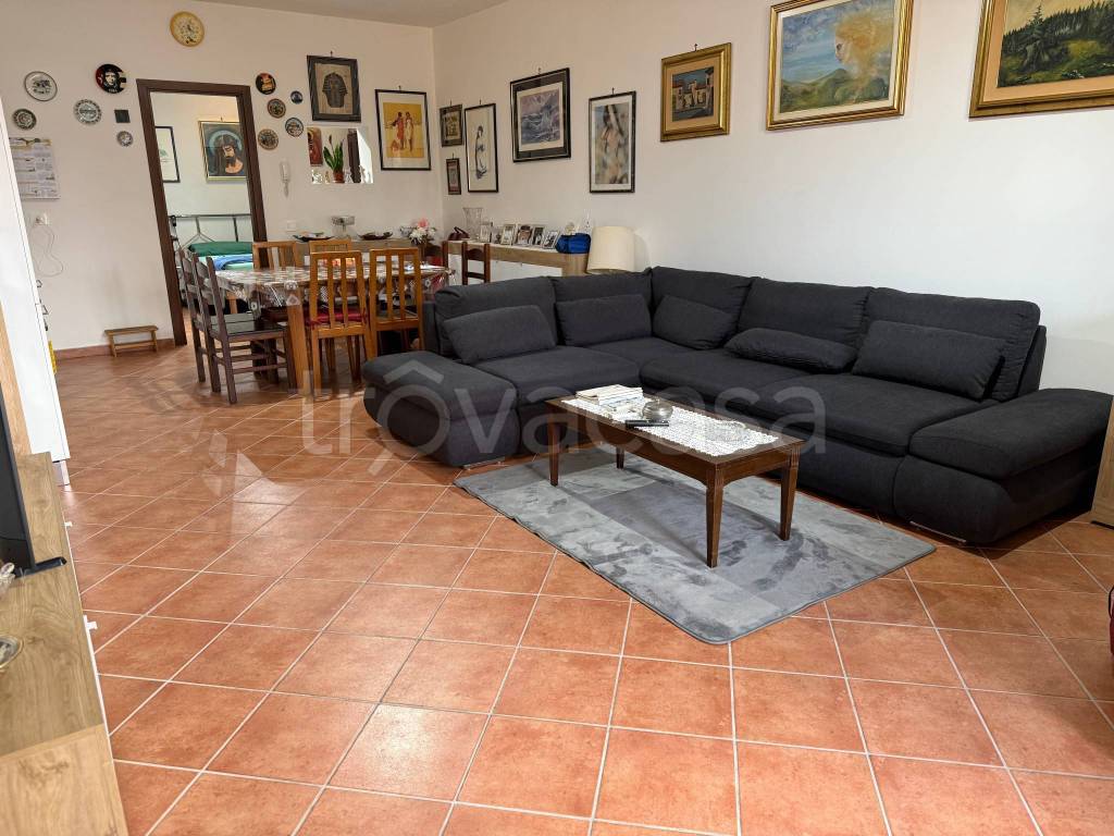 immagine annuncio 6 di 14