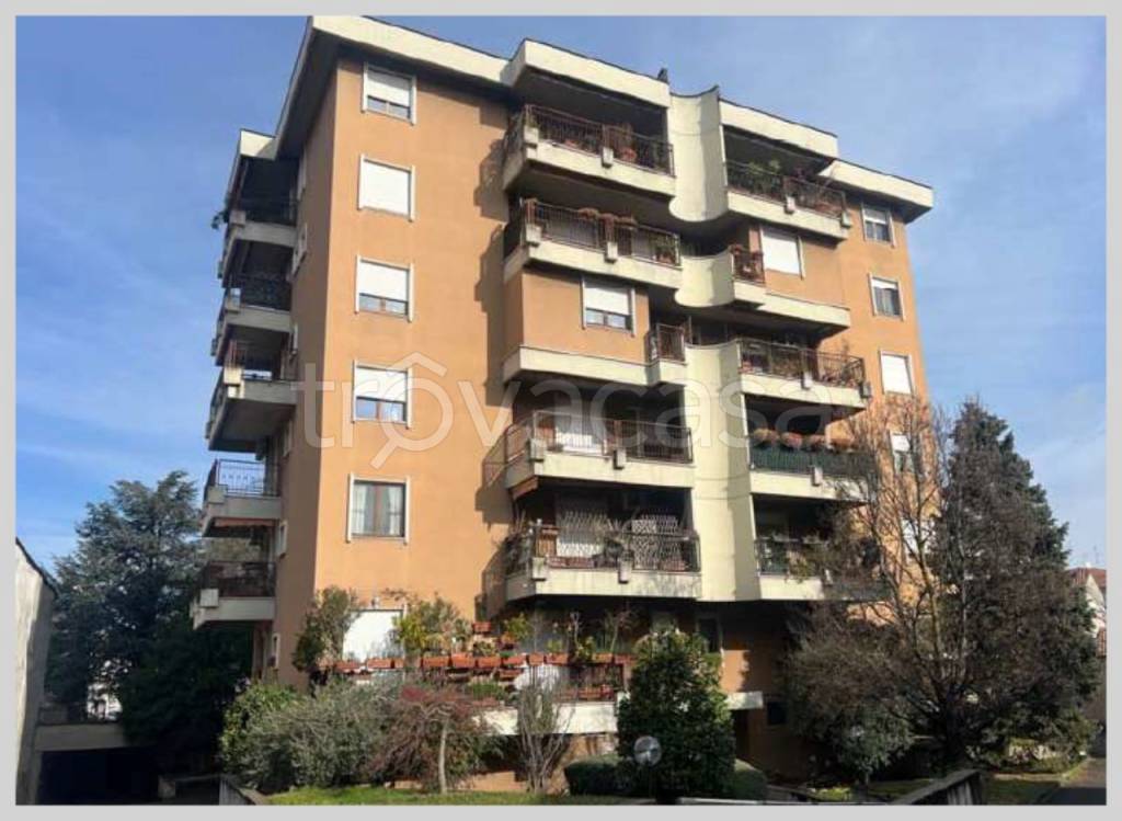 immagine annuncio 4 di 15