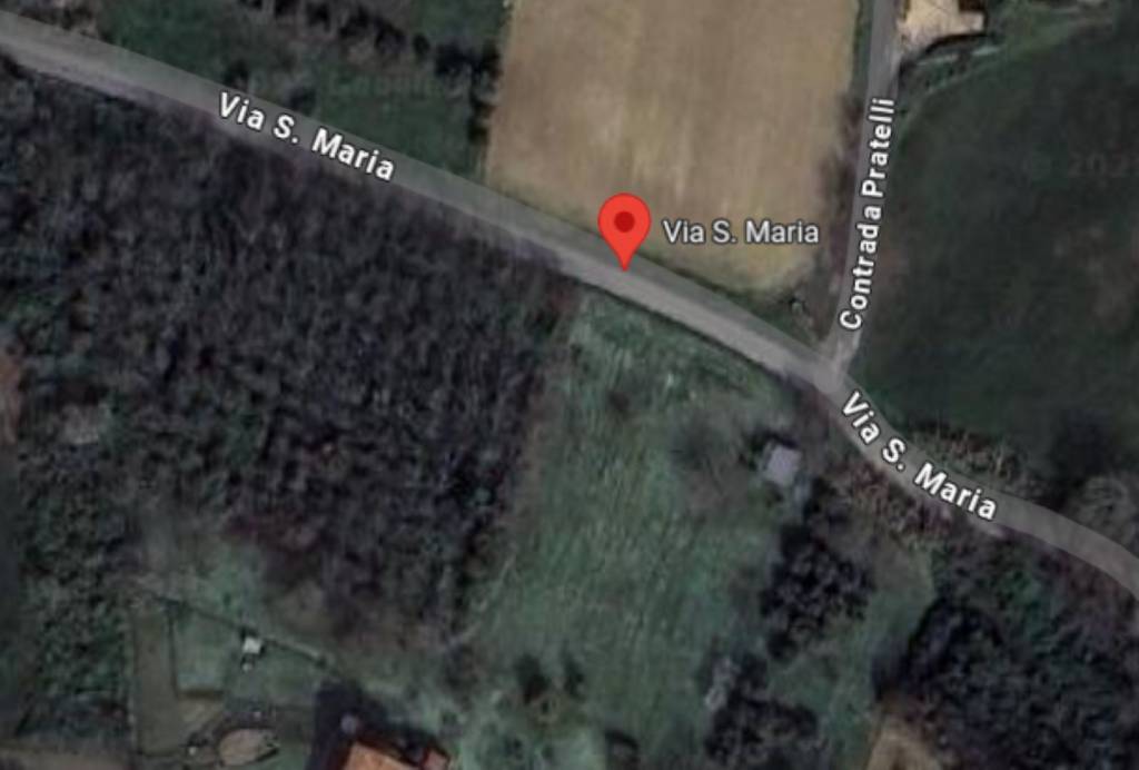 immagine annuncio 11 di 12