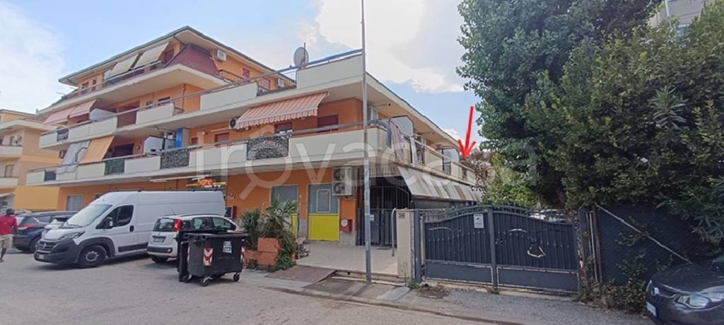 immagine annuncio 1 di 14