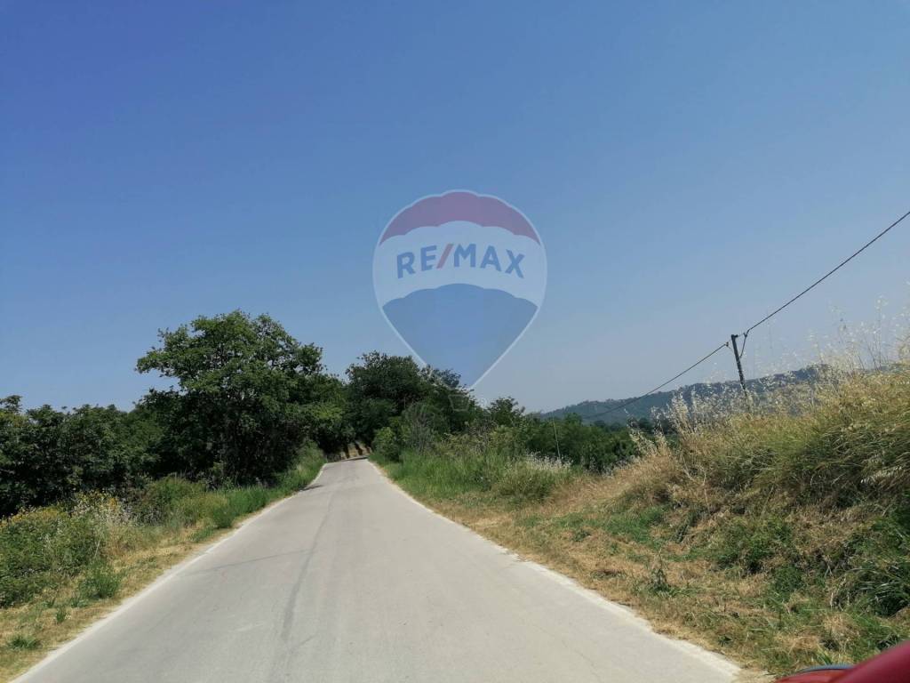 immagine annuncio 5 di 8