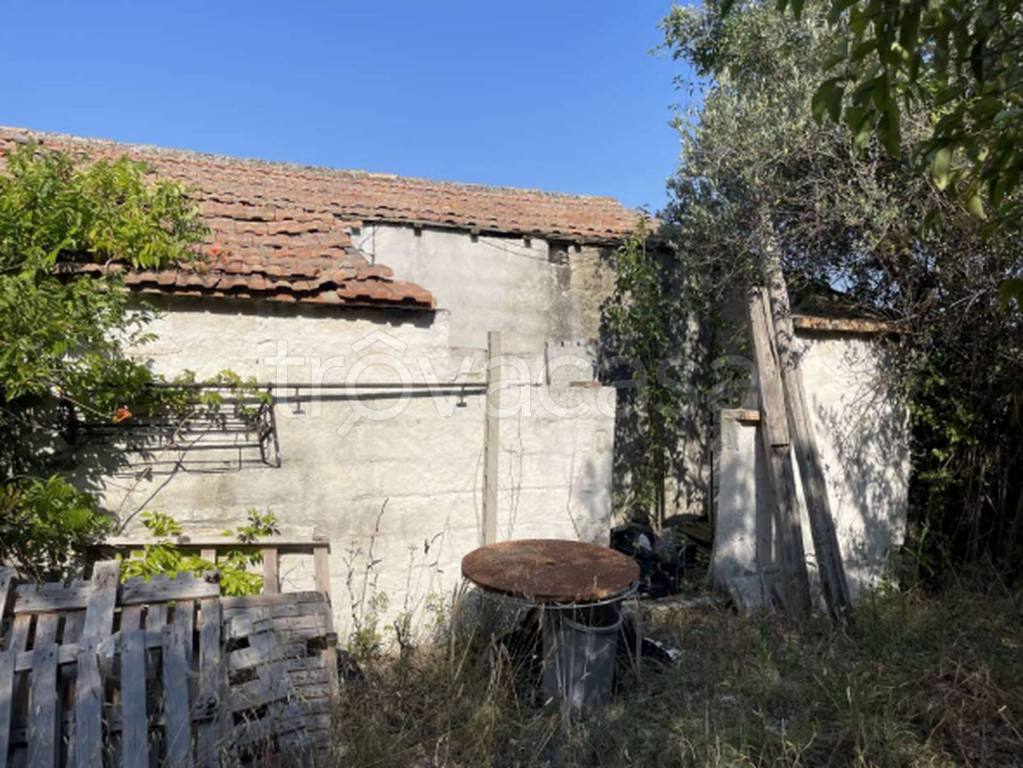 immagine annuncio 11 di 12