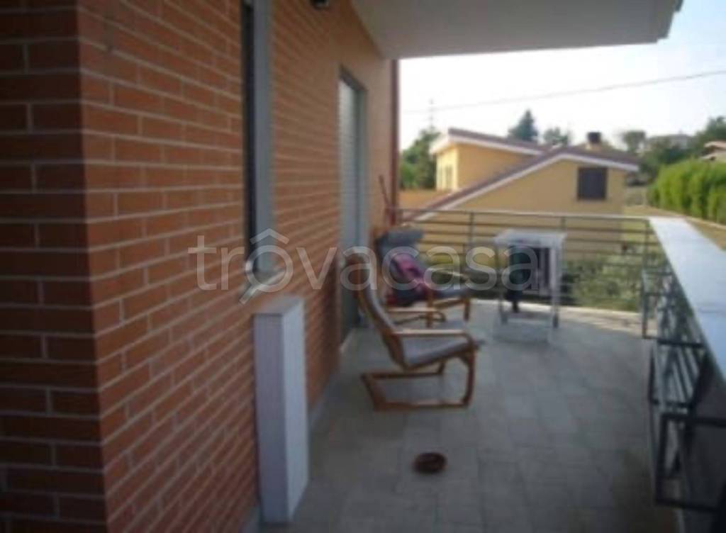 immagine annuncio 3 di 11