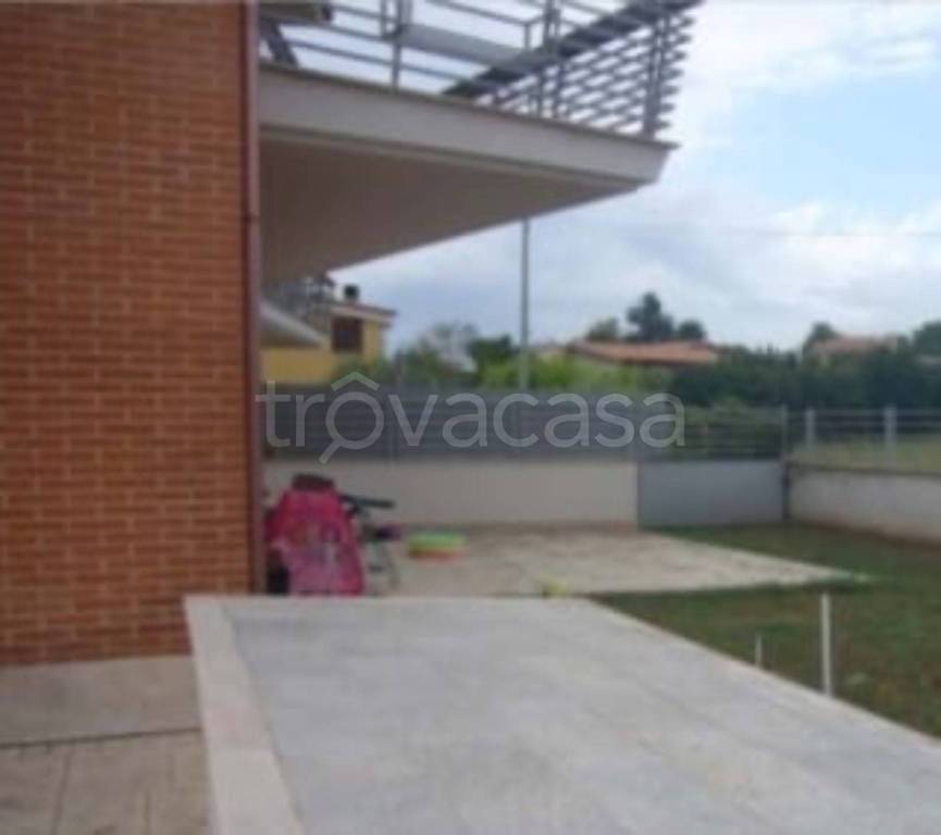 immagine annuncio 10 di 11
