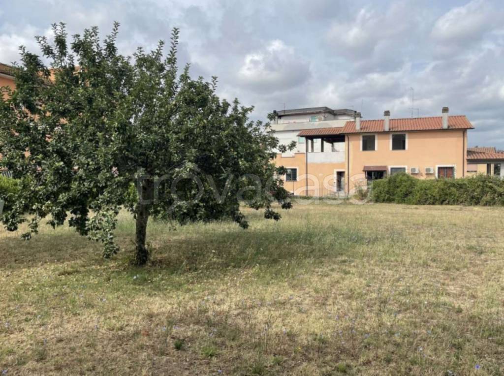 immagine annuncio 5 di 11